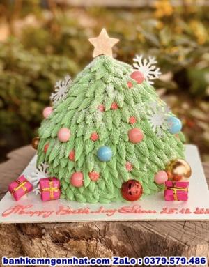 Bánh Kem Noel Giáng Sinh 33